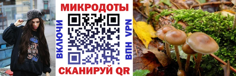 Псилоцибиновые грибы MAGIC MUSHROOMS  Приволжск 